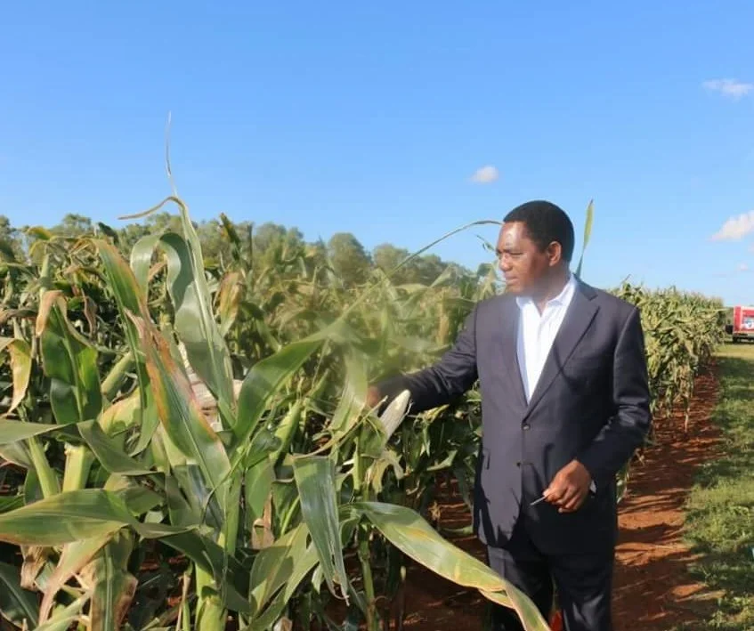  Tax on Maize Imports Suspended, Drought Response Plan Approved