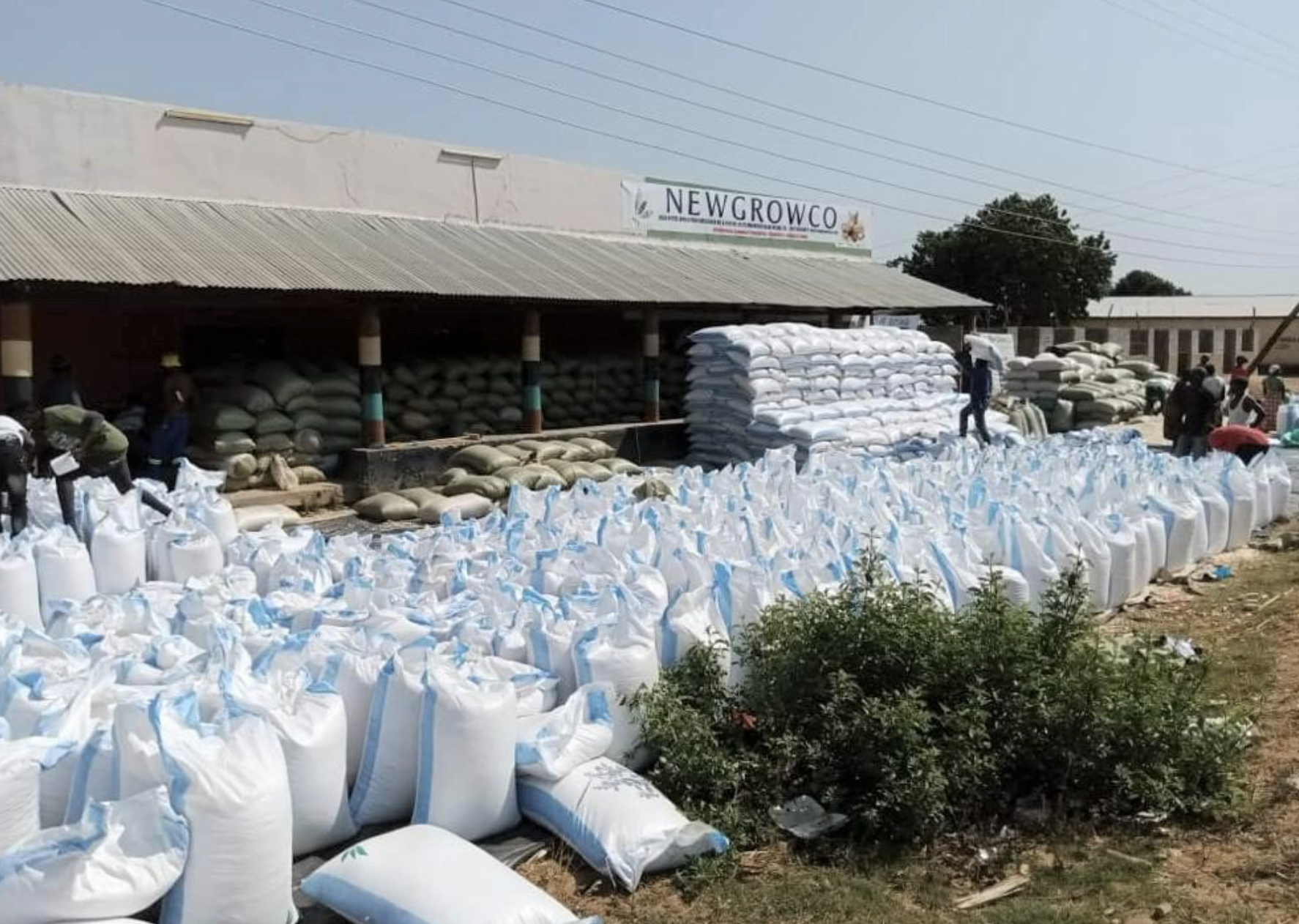 Zambia Records 20% Increase in Non-Traditional Exports