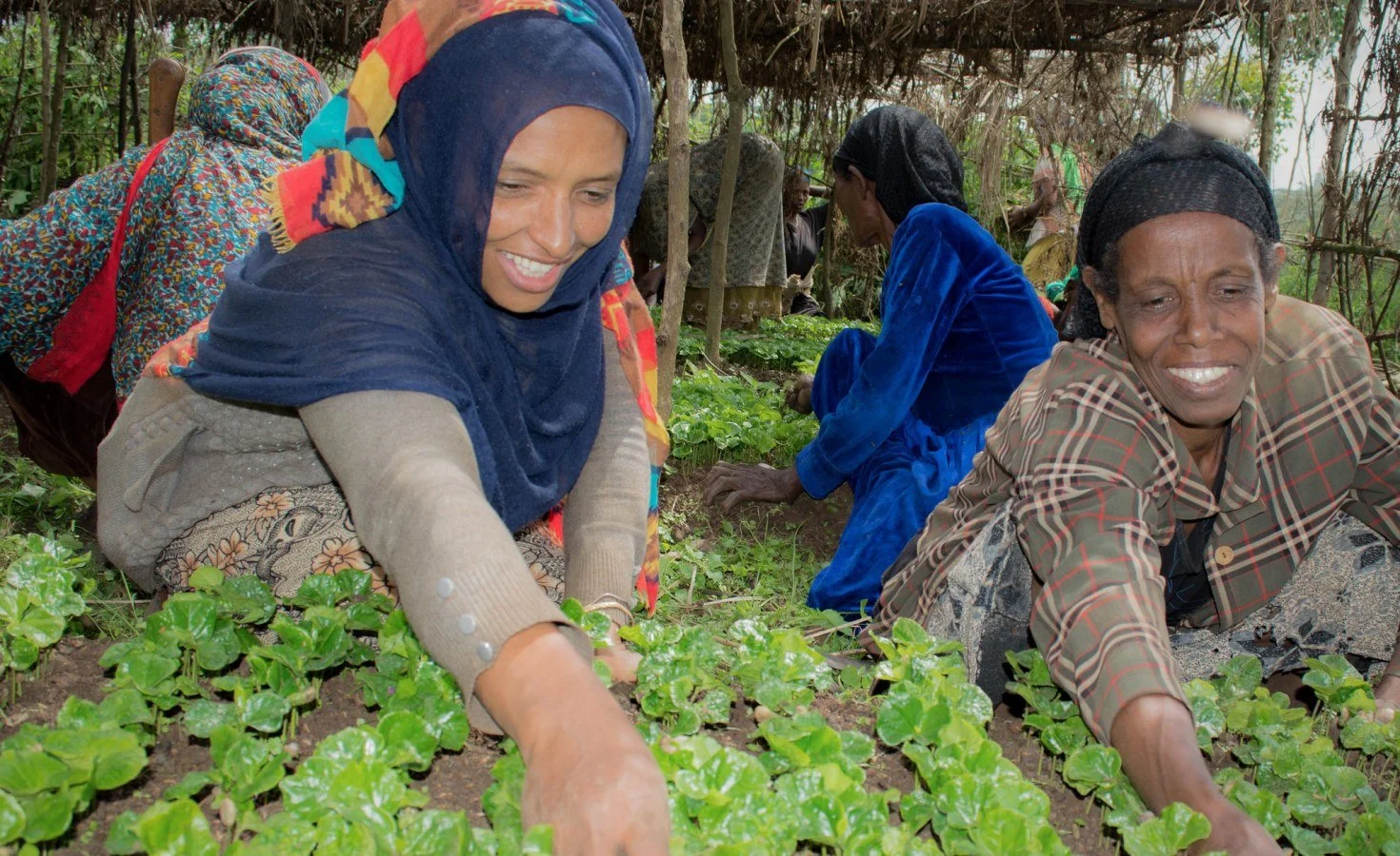 Feed the Future Announces $80 Million to Double Down on Food Security in Malawi, Tanzania, and Zambia