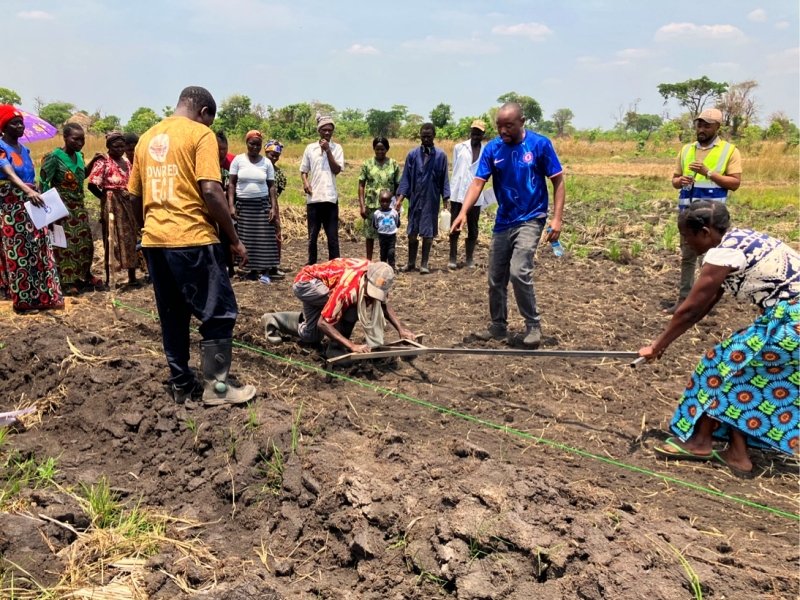 Luapula Farmers to Benefit from Rice Breeding