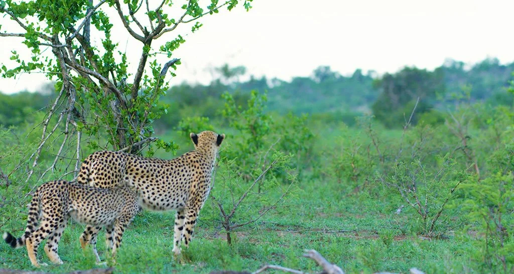 MORE TOURISM = MORE JOBS: HH HAILS 70% SURGE IN TOURISM