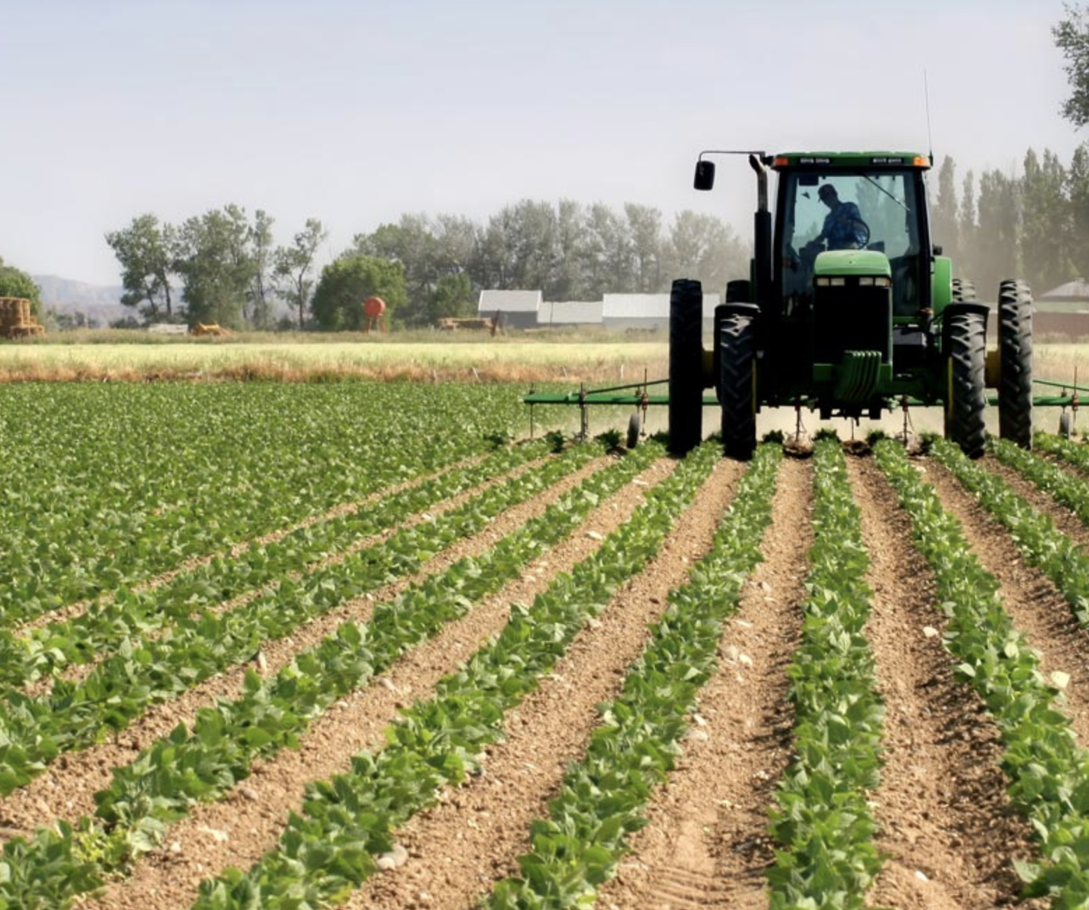 The Green 2000 Agriculture Project Transforms Farming And Improves Food Security 