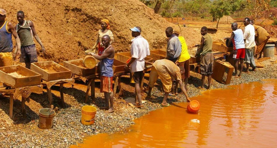 Department of Immigration Arrests 21 Foreign Nationals in Illegal Gold Mining Crackdown