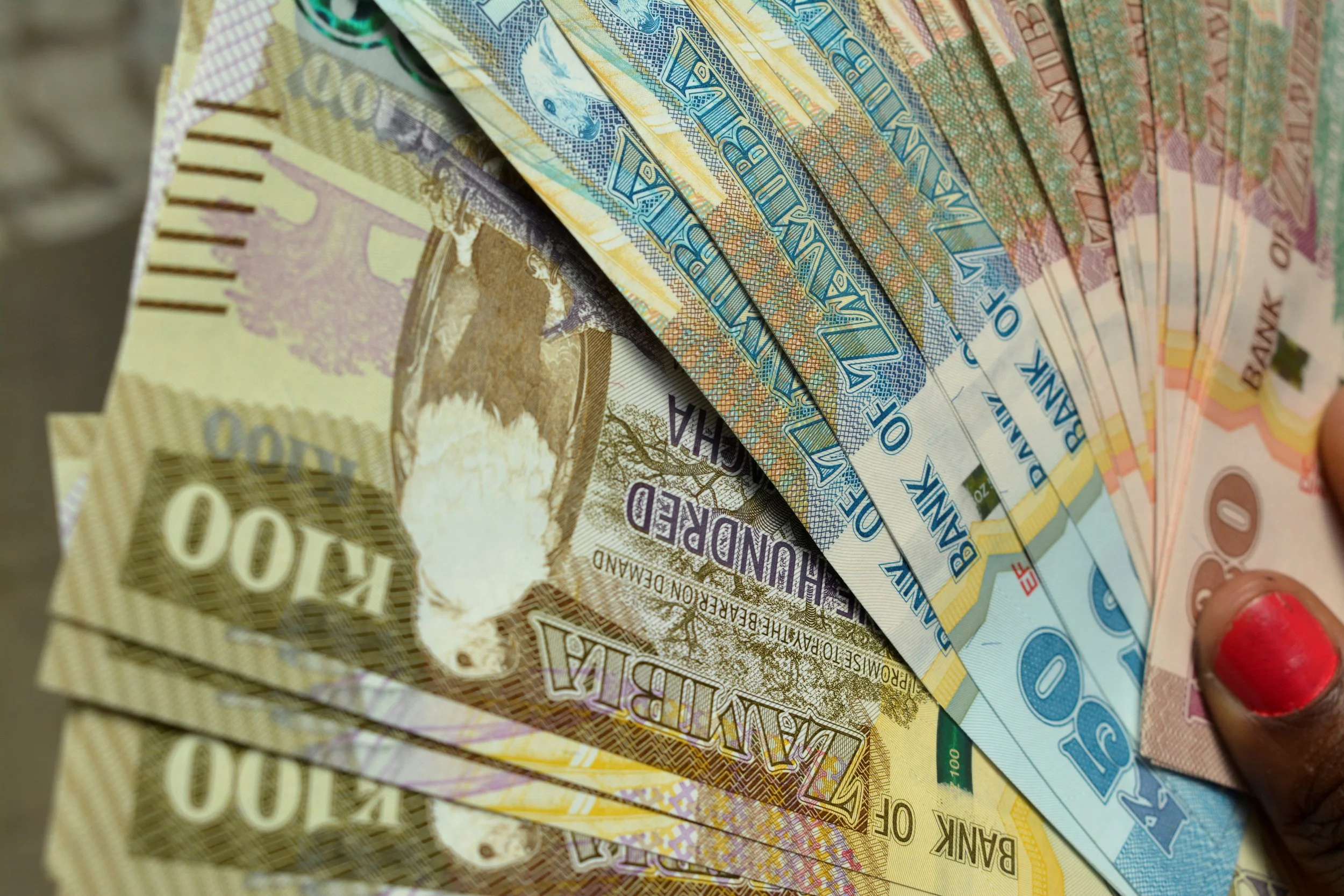 Experts Predict Continued Growth for Zambia’s Economy