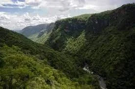 CDF Increases Development Funding as Remote Communities Await Basic Services