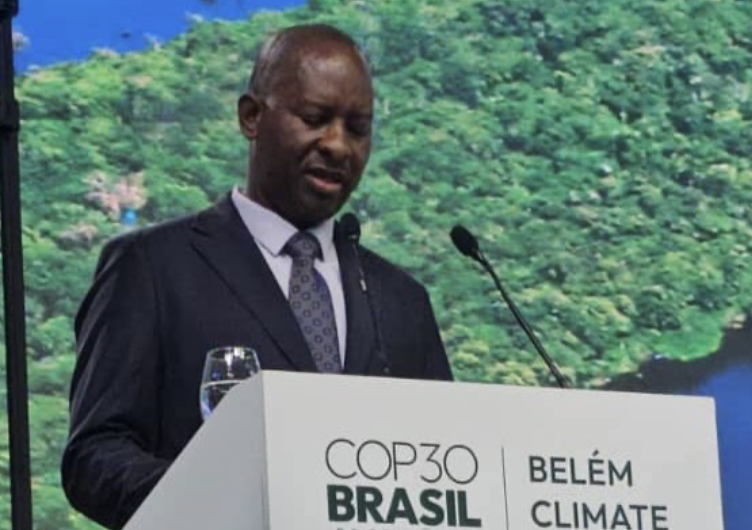 Government pushes for climate finance and solar support at COP30