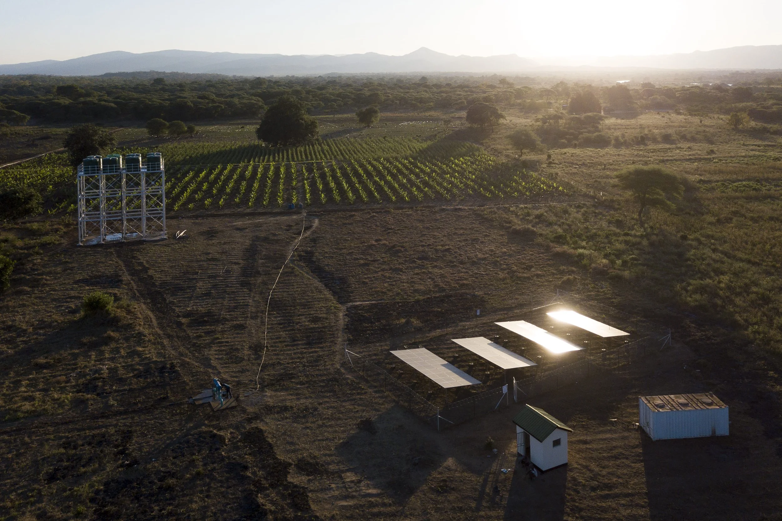 Government Delivers Transformative Solar Irrigation Project to Empower Chongwe Farmers