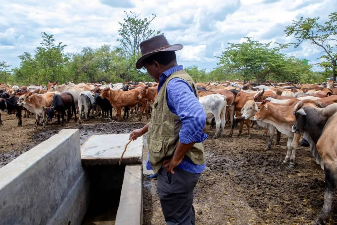 Catholic Leaders Commend President's Practical Approach to Leadership and Development
