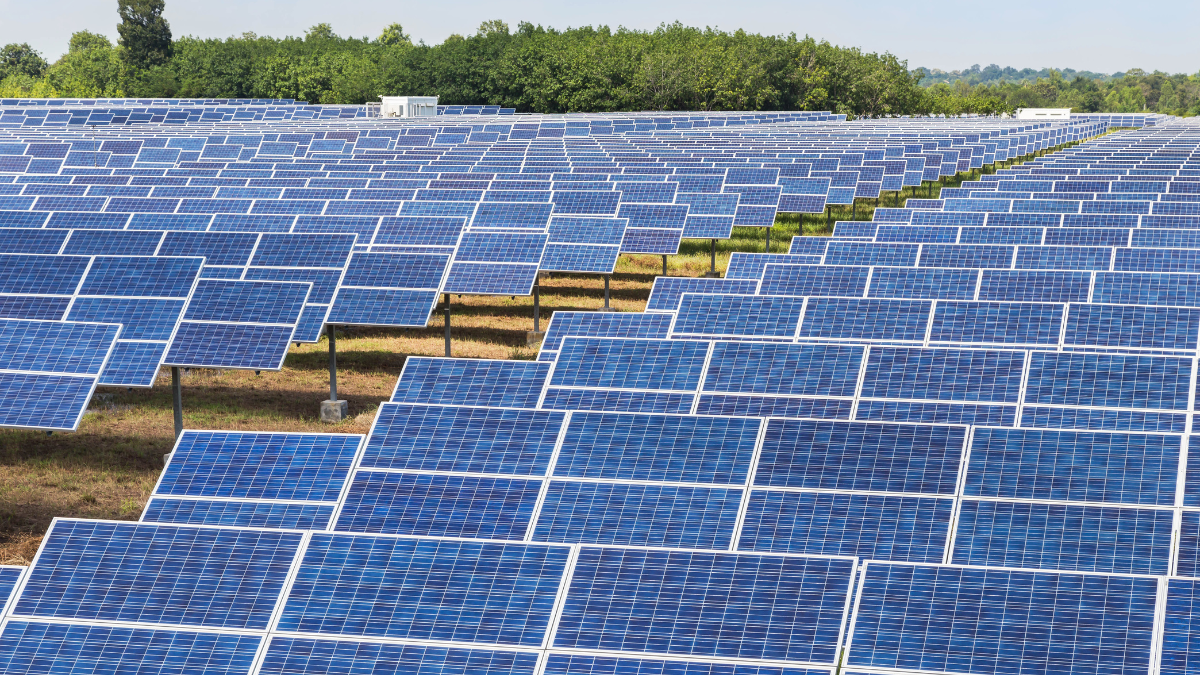 Zambia Secures 480 Hectares for Solar Development Across 116 Districts