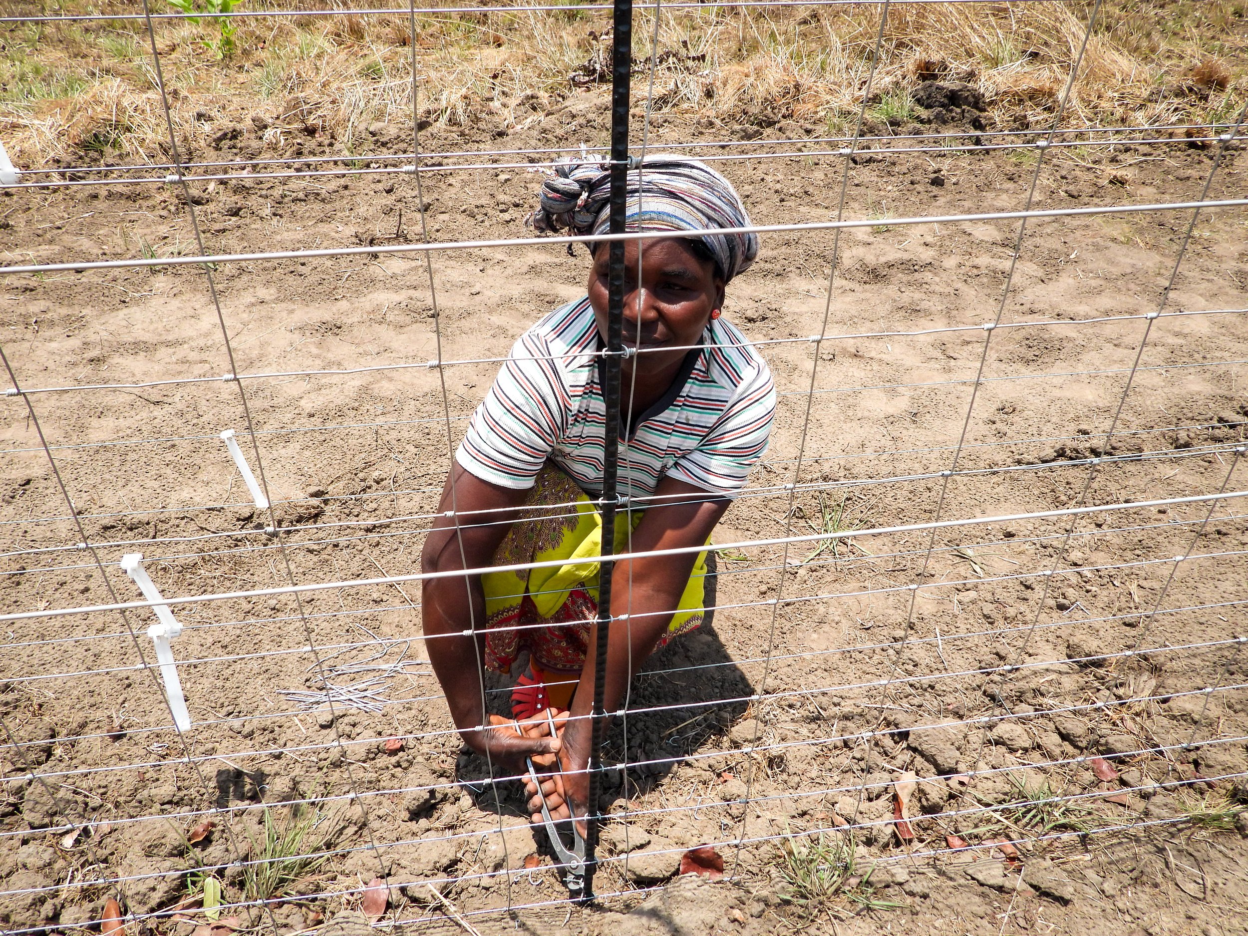 Kasungu fence nears completion, bringing hope to border communities