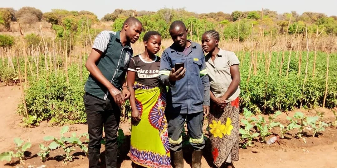 Zambia's Mobile and Internet Subscribers Hit Record Highs