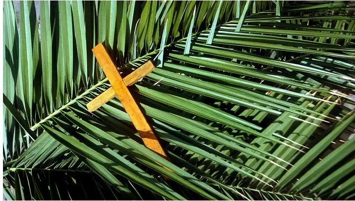 Palm Sunday celebrations across the country 