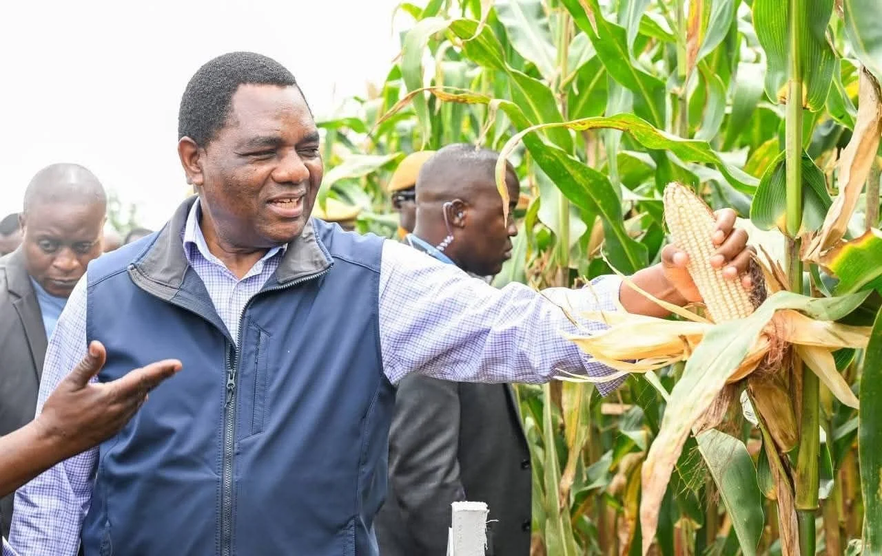 ZARI Seed Banks Reach 15,000 Farmers Across Southern and Western Provinces