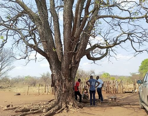 Gwembe Farmers Receive Vital Support 