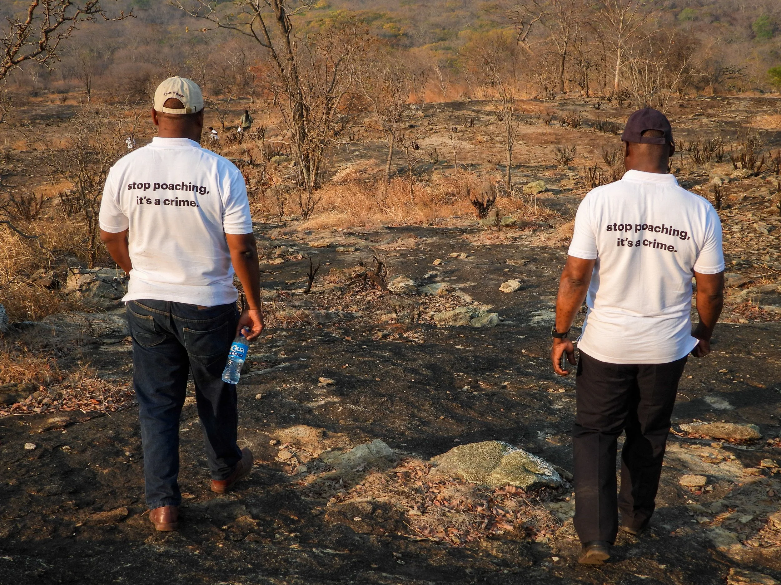 Survey Reveals Overwhelming Public Support for Wildlife Conservation in Zambia