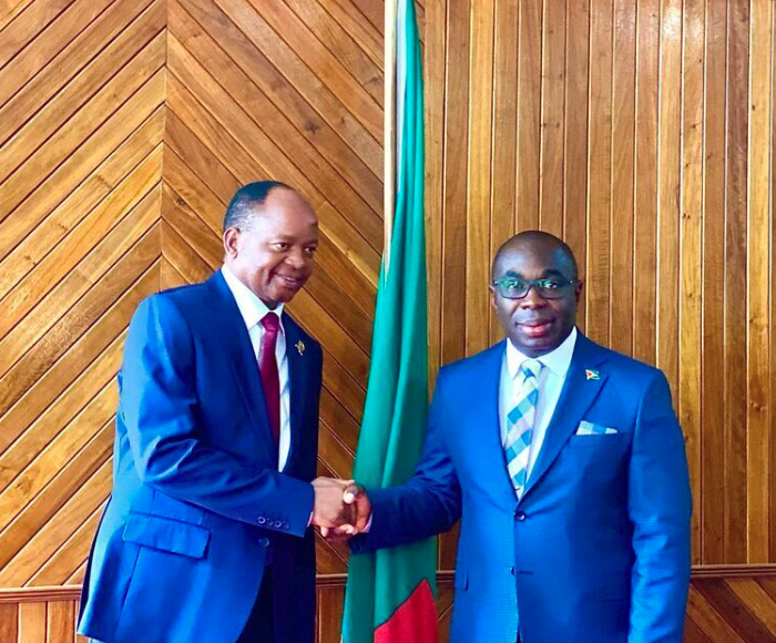 Zambia and Guyana Deepen Economic Ties Through Media Cooperation