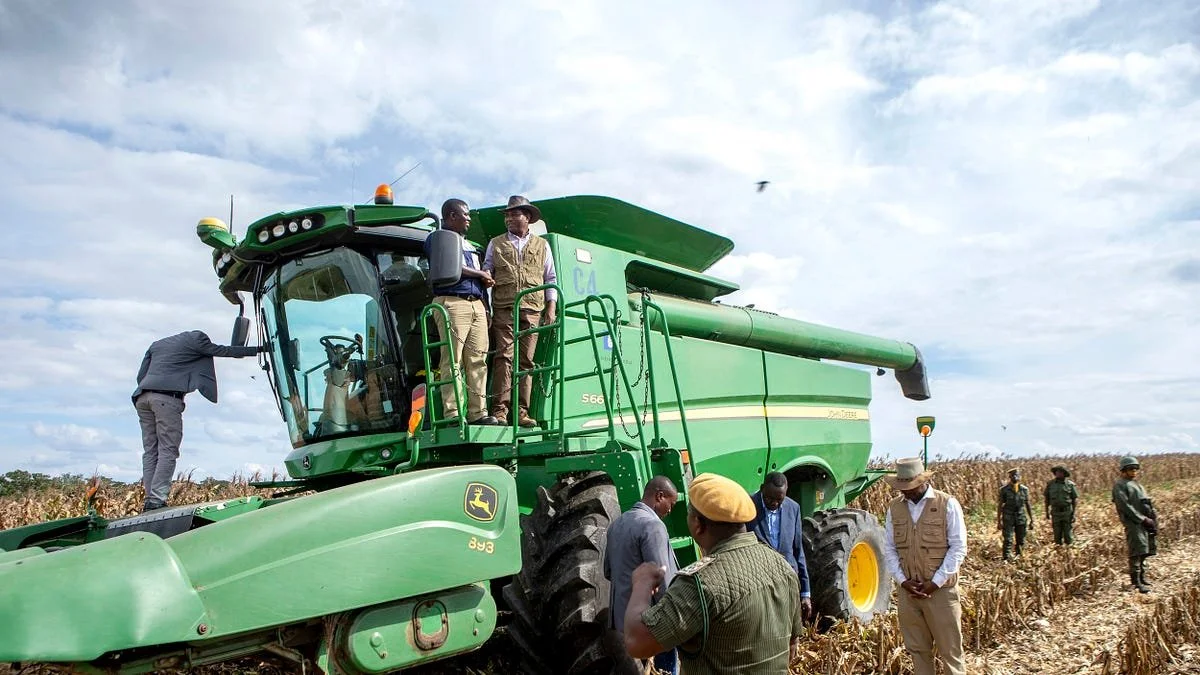 Zambia's maize harvest forecast to hit record 4.9 million tonnes