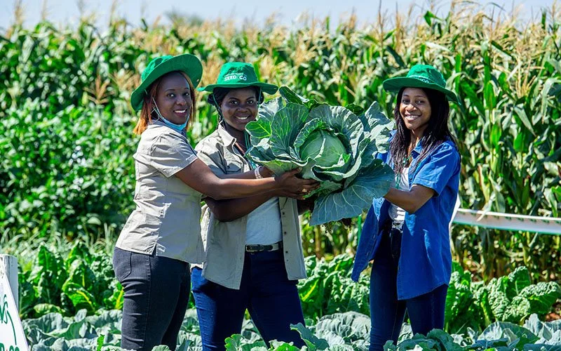 Seed Exports amplify Zambia’s agricultural Profile 