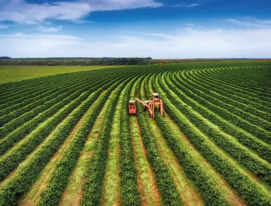 Zambia’s Drive Towards Agricultural Self-Sufficiency