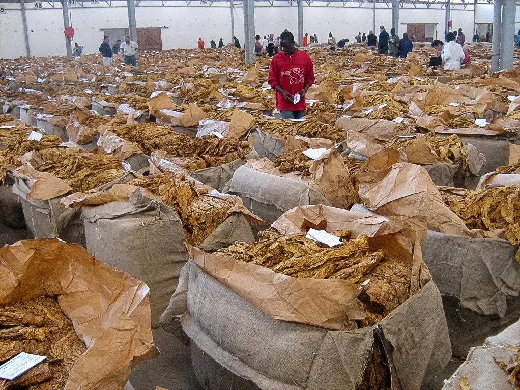 Tobacco Revenues Hit US$87.9 Million