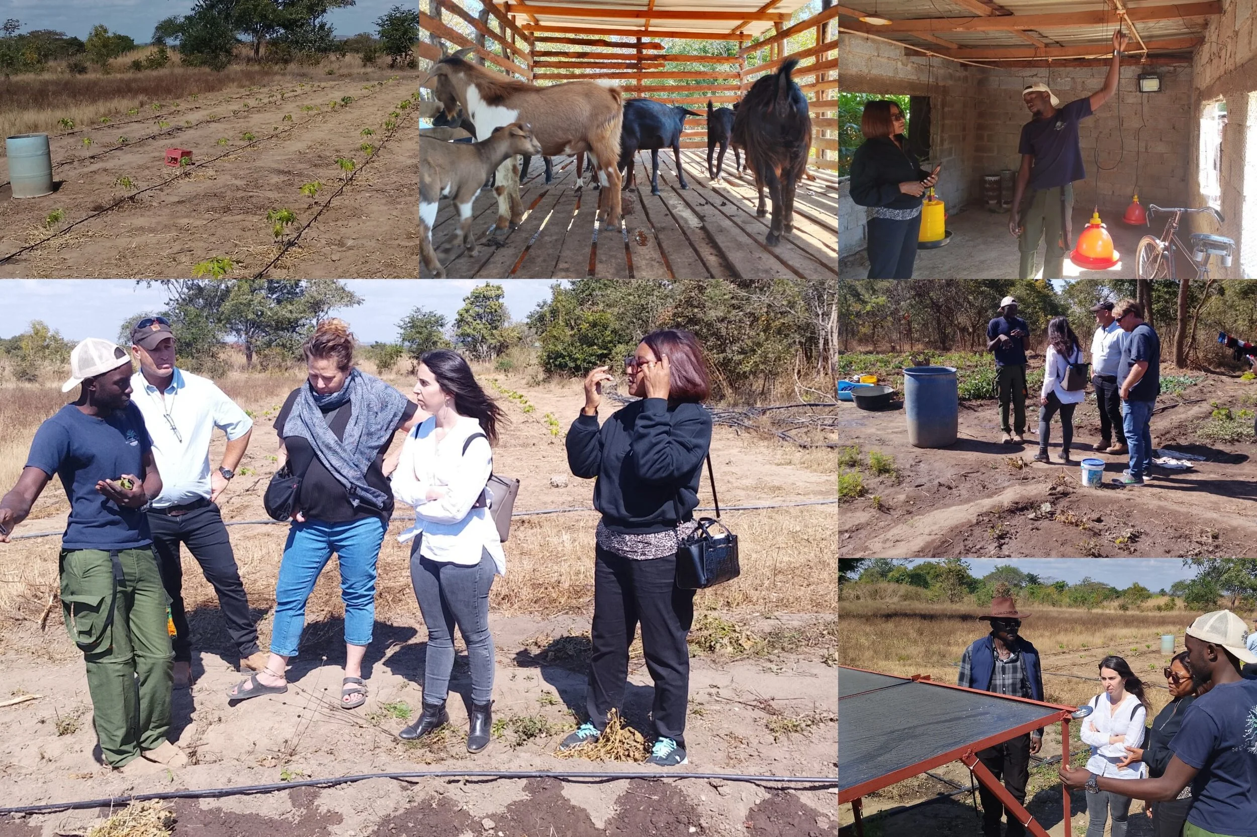 Israel Trains 740 Zambian Students in Modern Agriculture