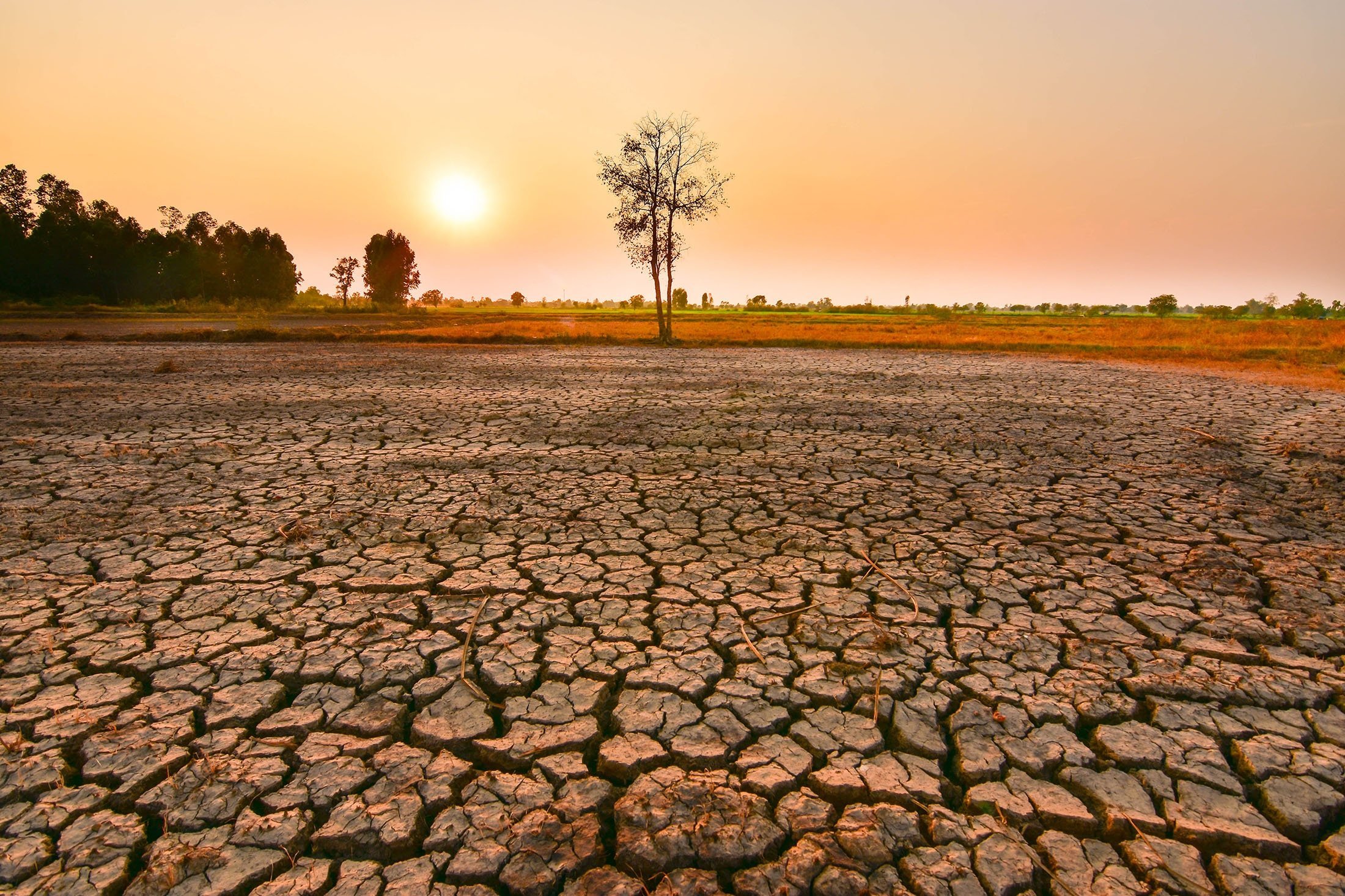 Government Steps Up El Niño Preparedness to Safeguard Food Security
