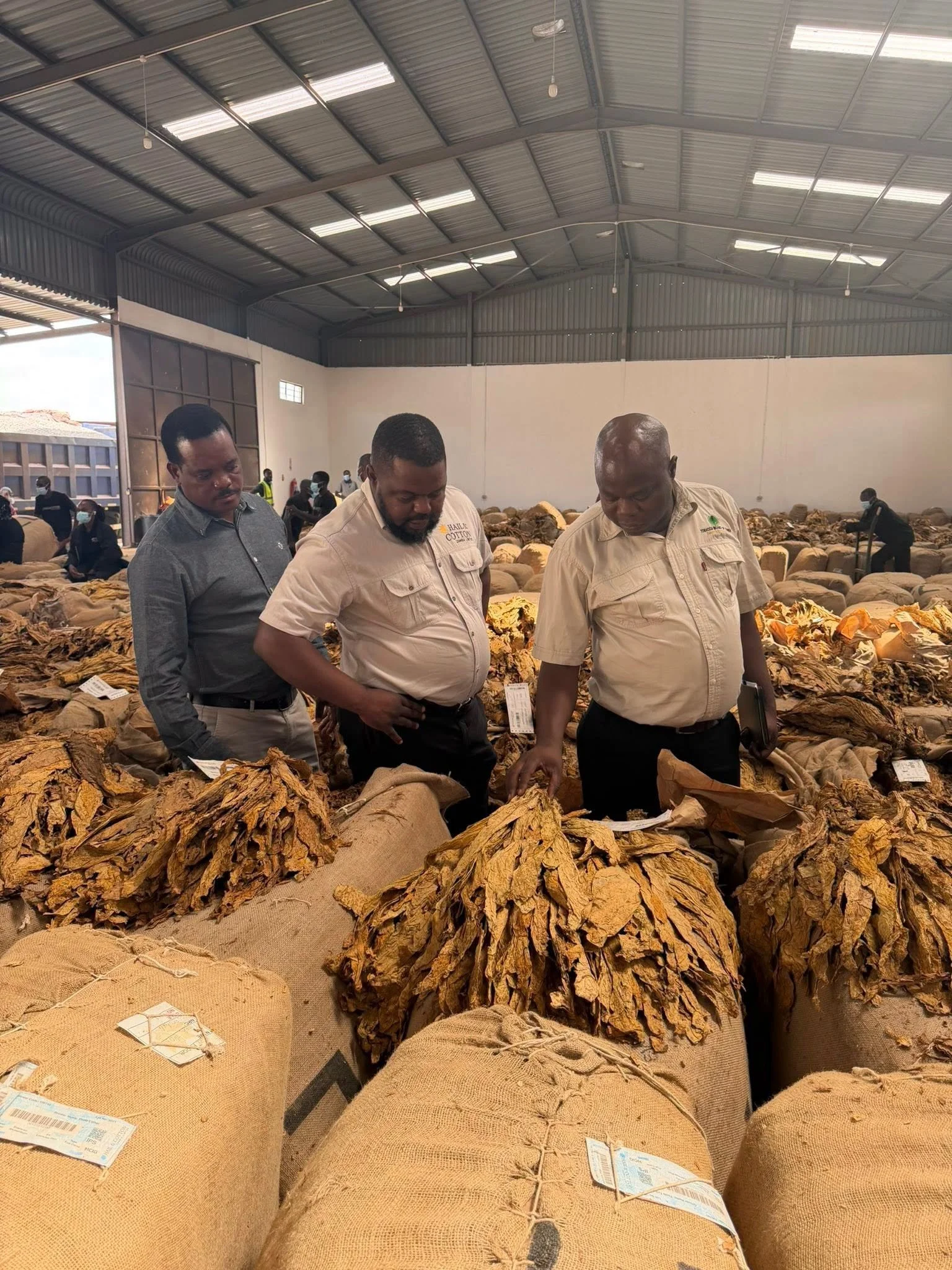 Tobacco Sales Reach US$104.9 Million