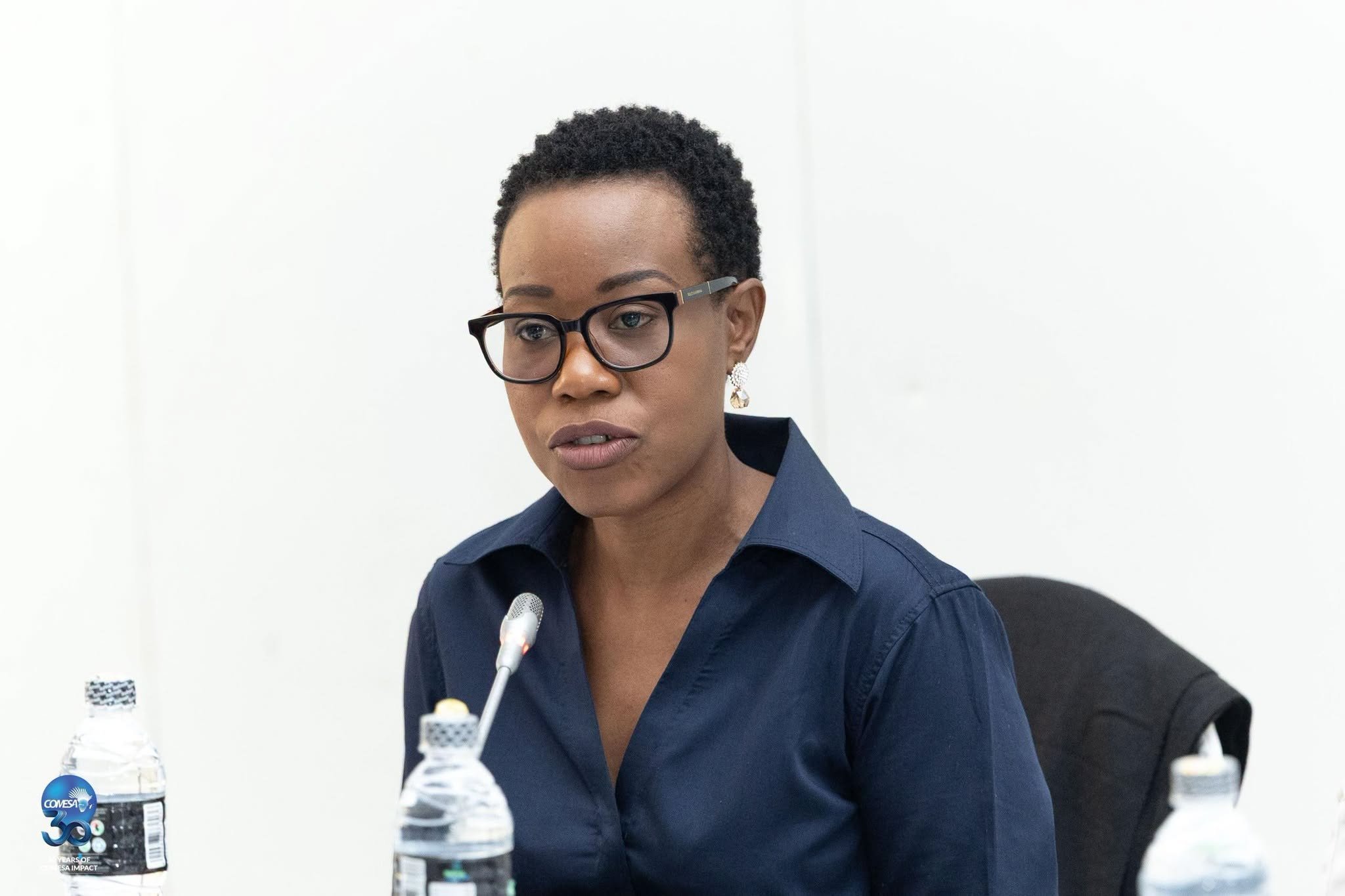 ECZ Explains Ballot Paper Arrangements for Candidates Who Withdraw After Deadline