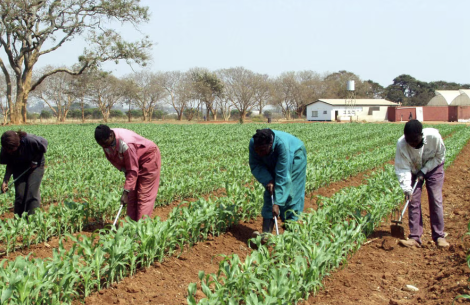 HH Promises More Fertiliser for Farmers Ahead of Next Season