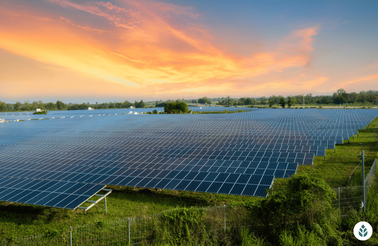 Government Signs Contracts for Nationwide 2MW Solar Power Initiative