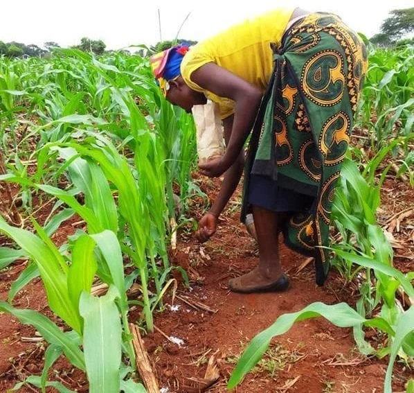 Senanga District Boosts Farming Capacity Through Food Security Pack Recoveries