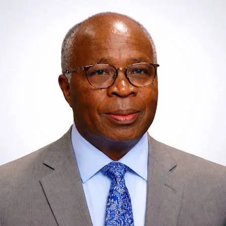Former Finance Minister Criticises Tonse Alliance Record