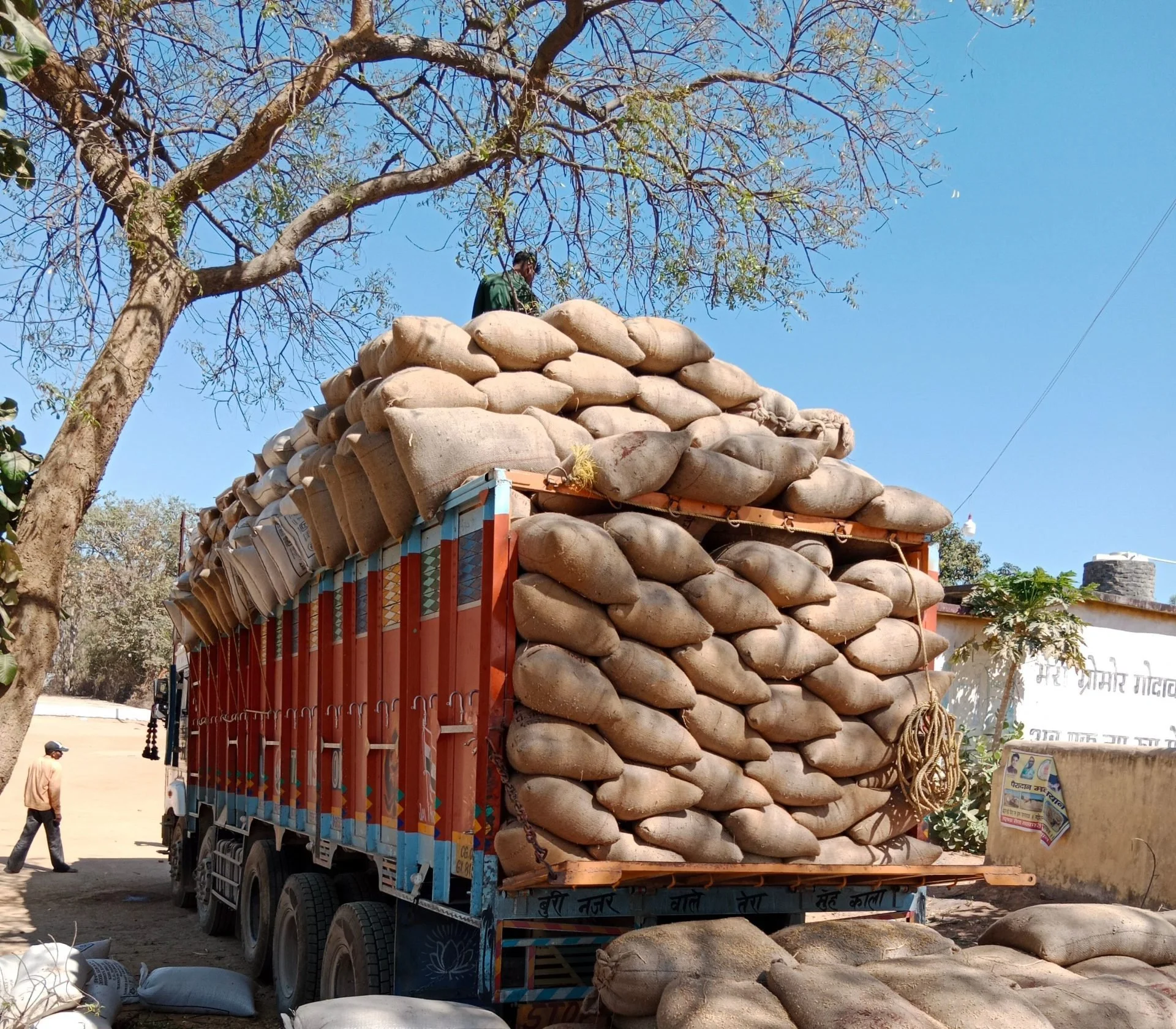 FRA Maize Price Is Fair, Says Chief Bunda Bunda