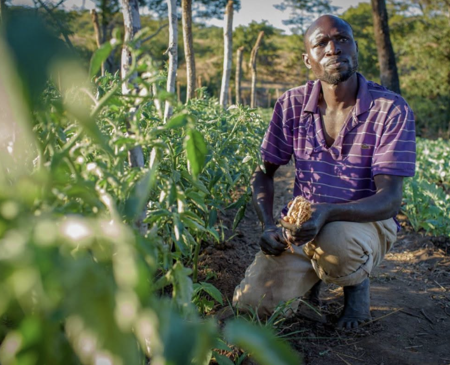 Kalabo Welcomes Surge in Young Farmers at 98th Agricultural and Commercial Show