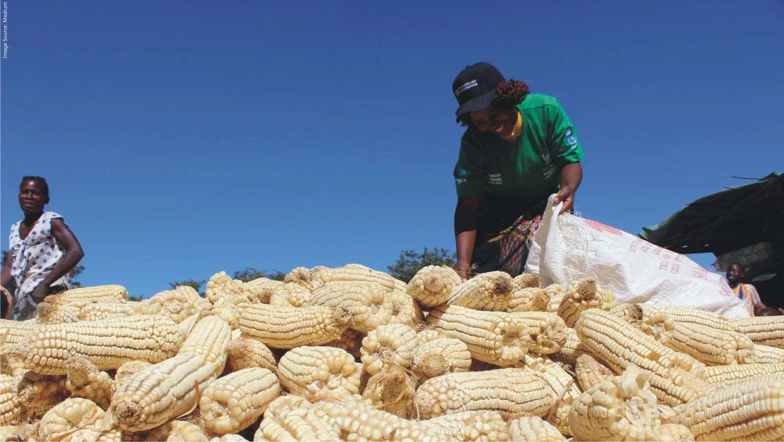 Hichilema Hails FRA's Prompt Maize Payments as a First for Zambia