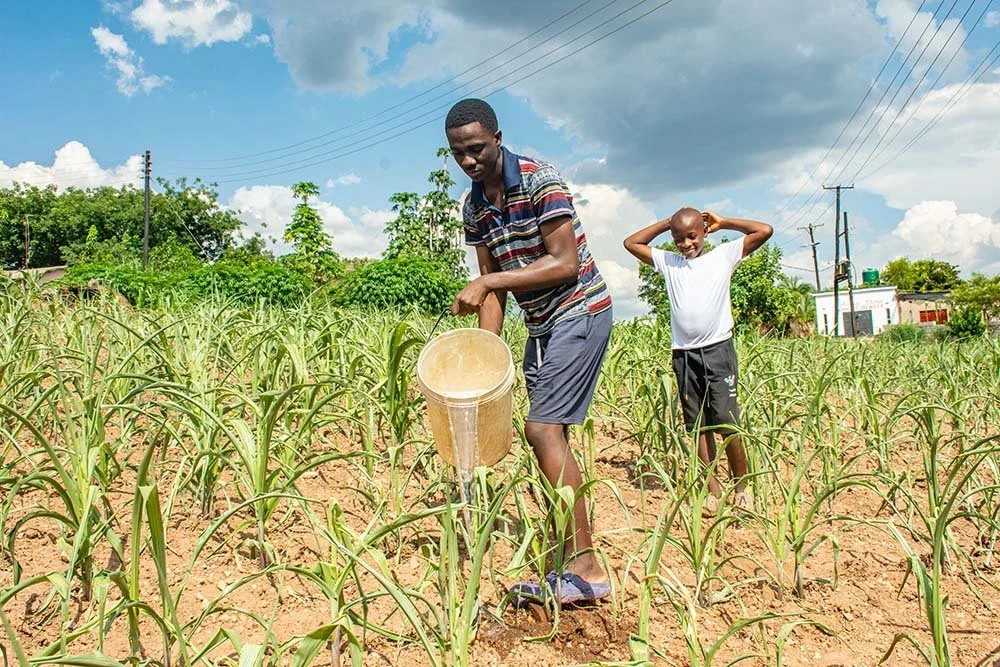 FRA Surpasses Maize Target, Pays Farmers Over K3.4 Billion