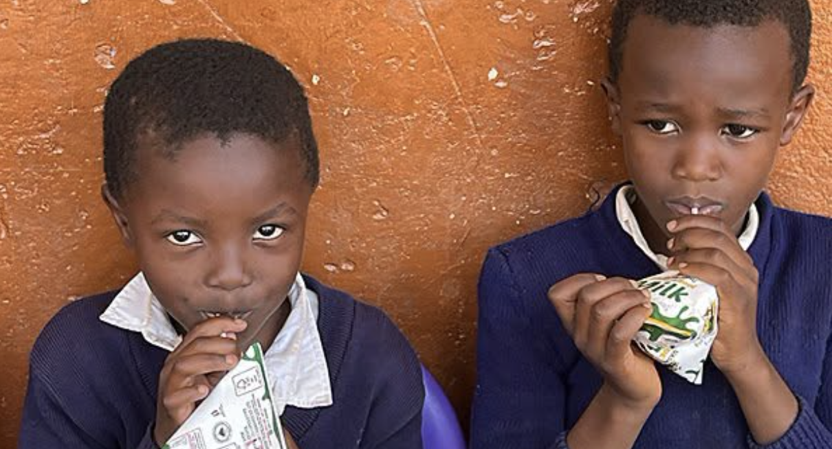 Government Starts Providing Milk to Early Childhood Pupils
