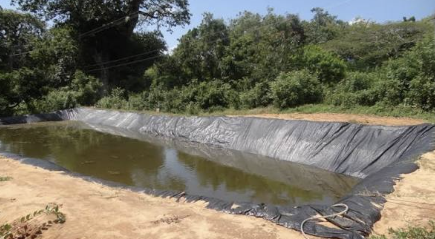 Fish Feed Plant to Boost Gwembe’s Growth