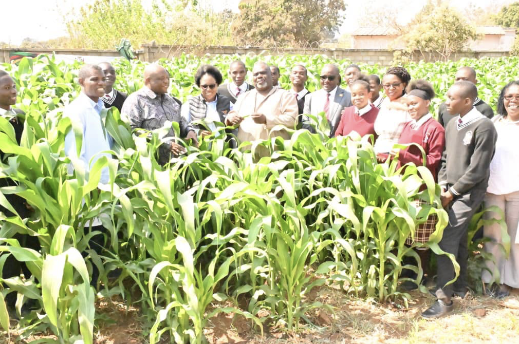 Presidential Irrigation Scheme Starts in Lusaka Schools