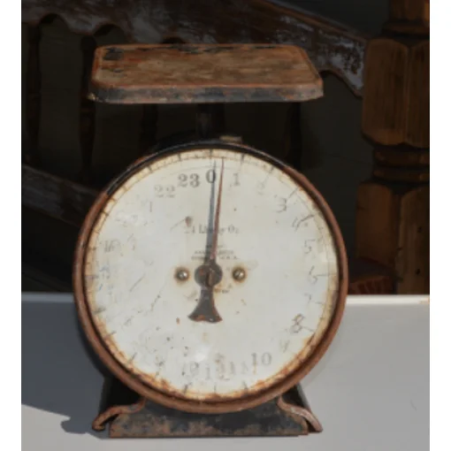 scale1.jpg