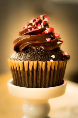 Cupcake2.jpg