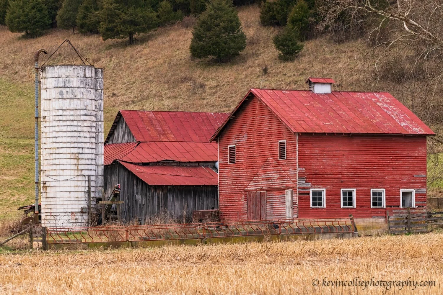 _DSC4560-Edit-1-web.jpg