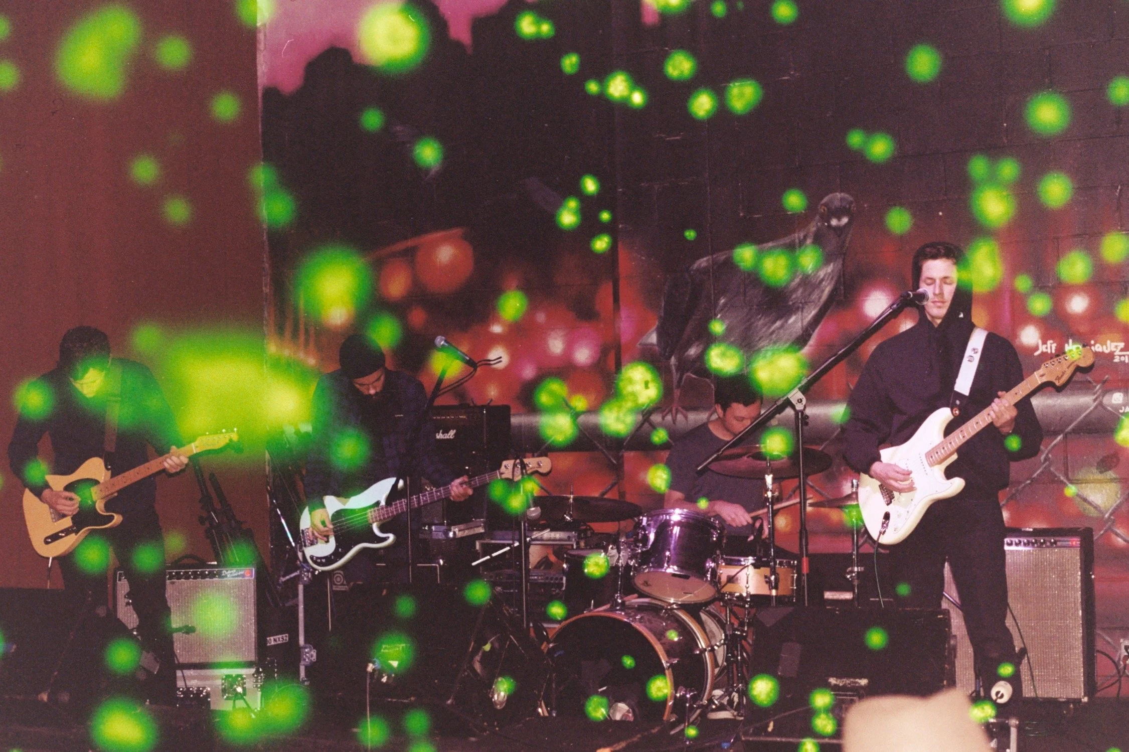 Jackie Snook (Live 3).JPG