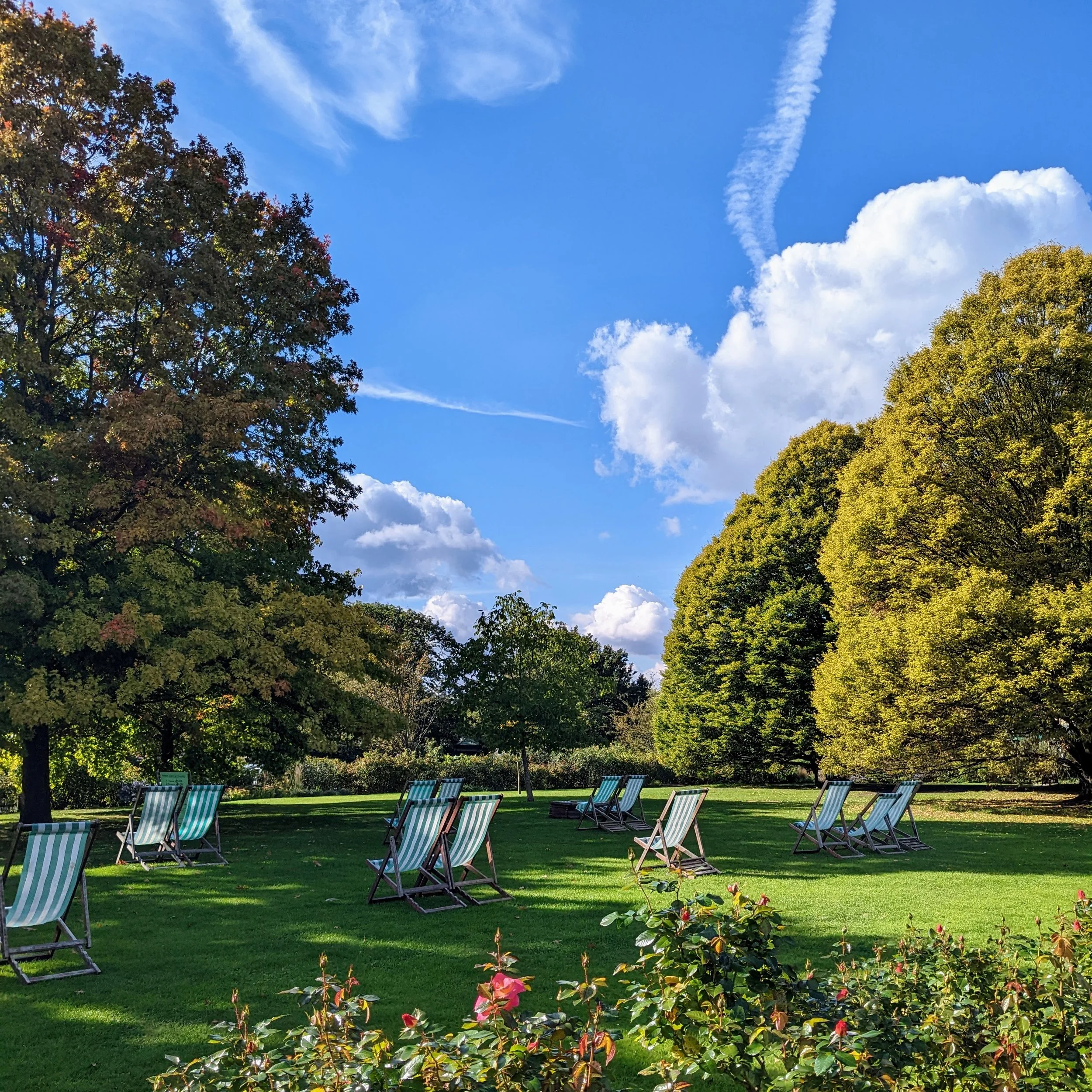 queen mary’s rose gardens, regents park