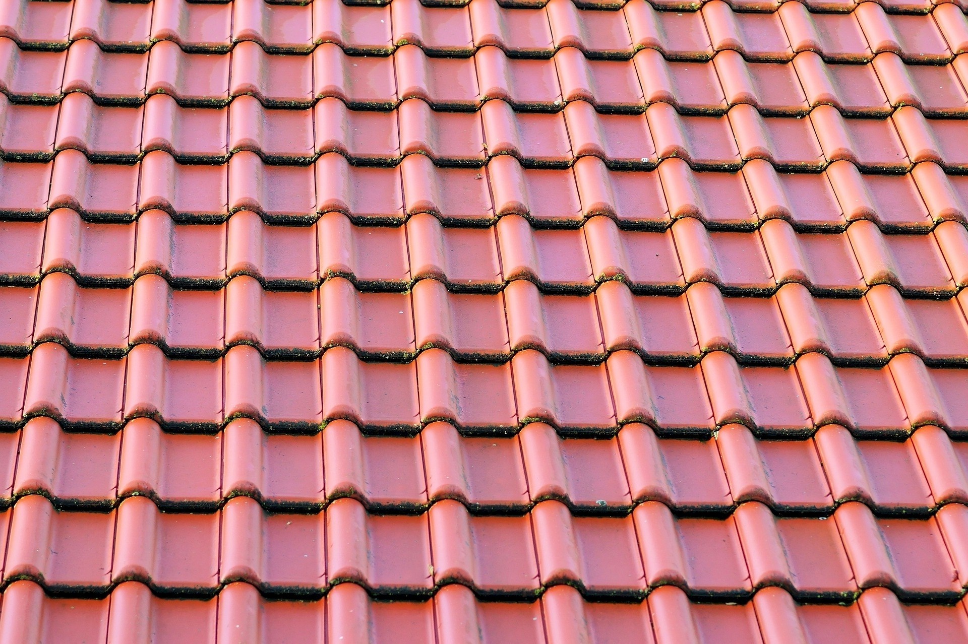 Roof Pressure Washing.jpg