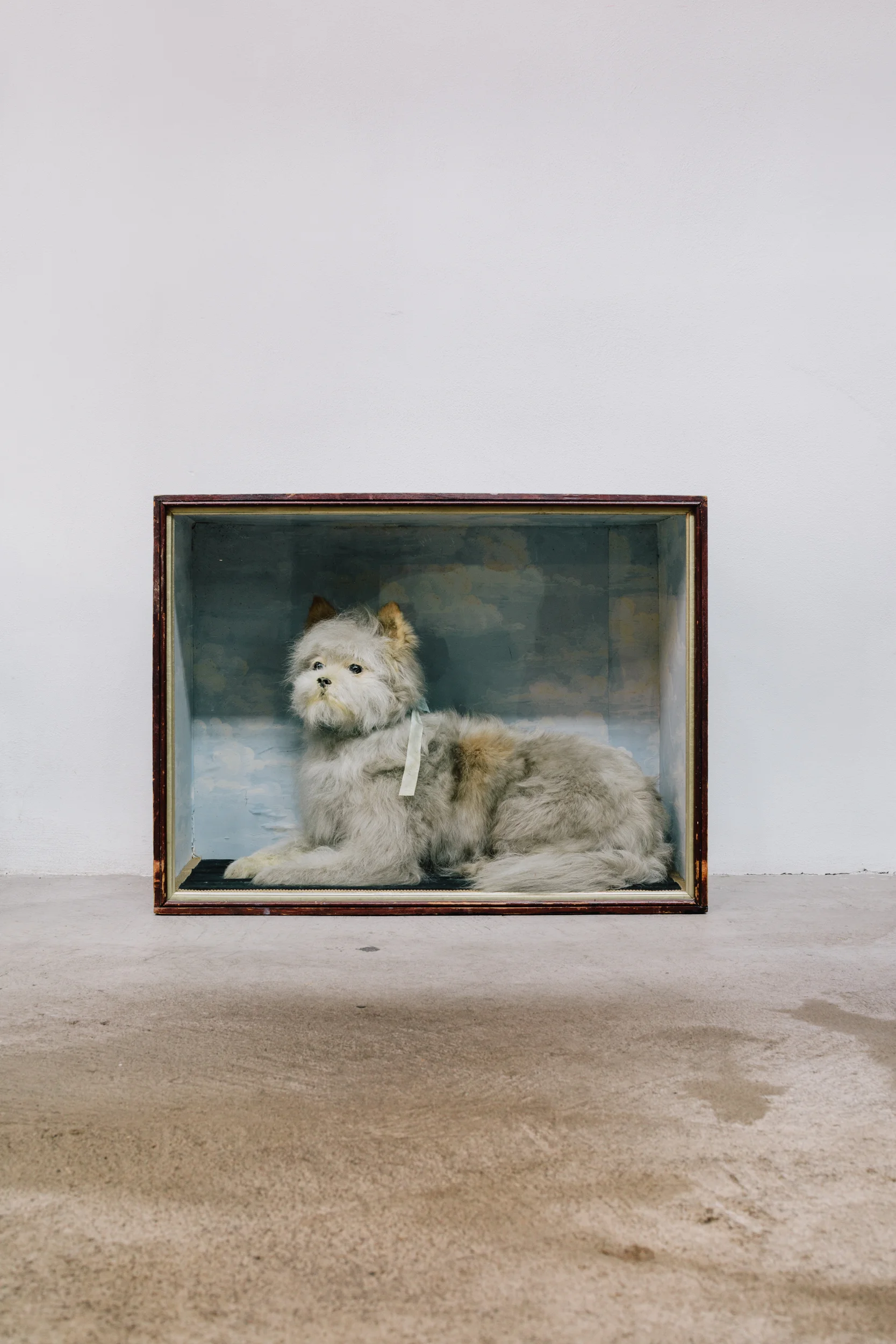 Andrea_Pugiotto_Photographer-Nico Vascellari