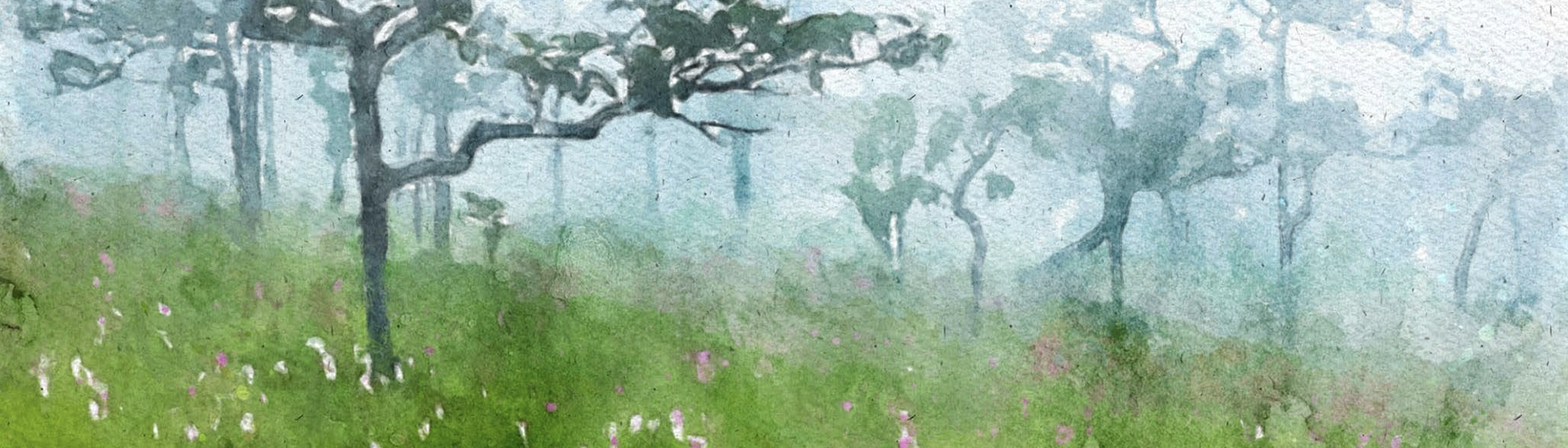 Serene watercolor of a misty forest meadow. Brooke offers new 2026 3-day in-office couples intensives. These concentrated sessions give partners time to escape daily stress, break barriers, accelerate healing, and restore their marriage.