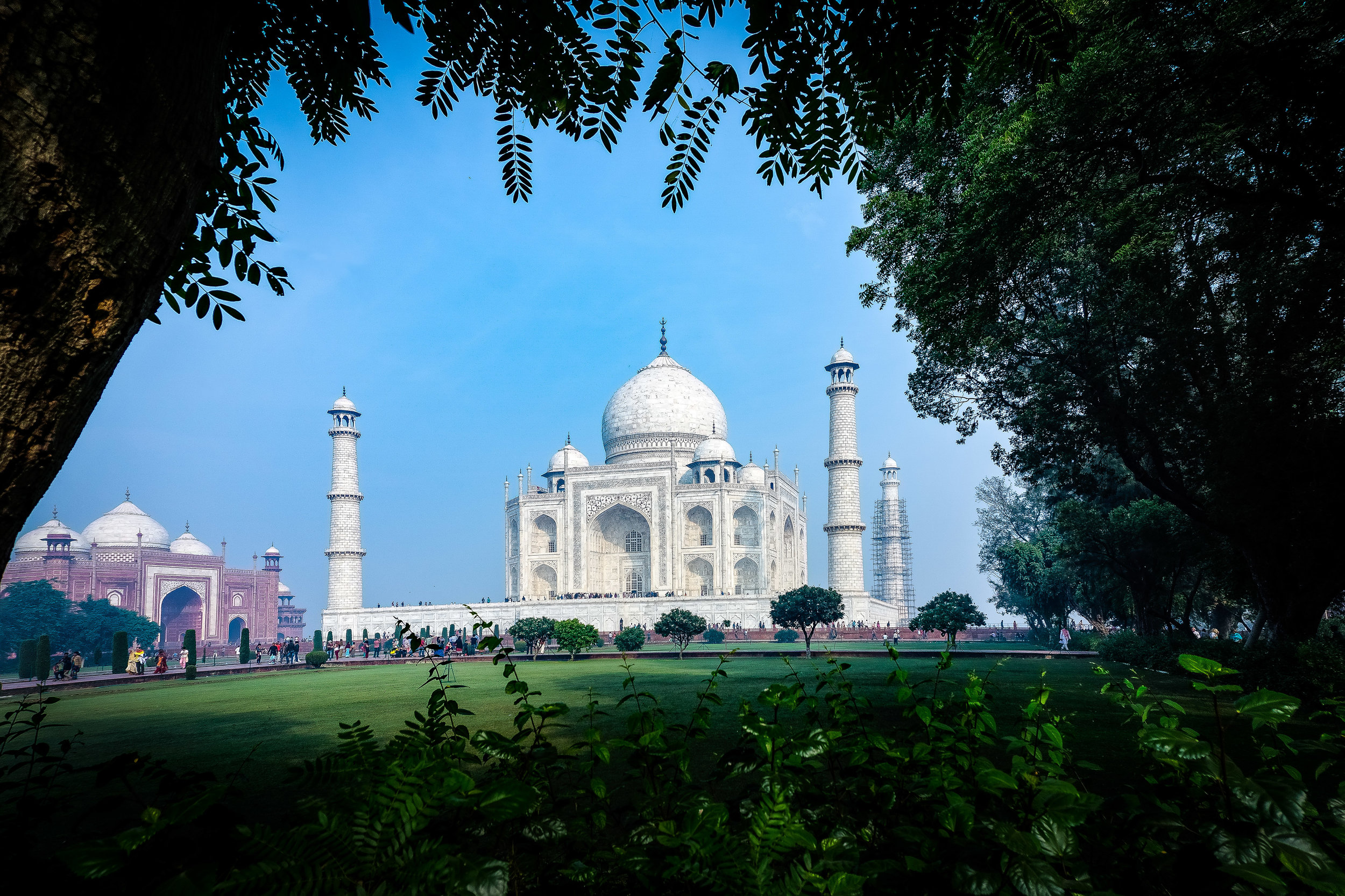 sqr sp Taj Mahal trees.jpg