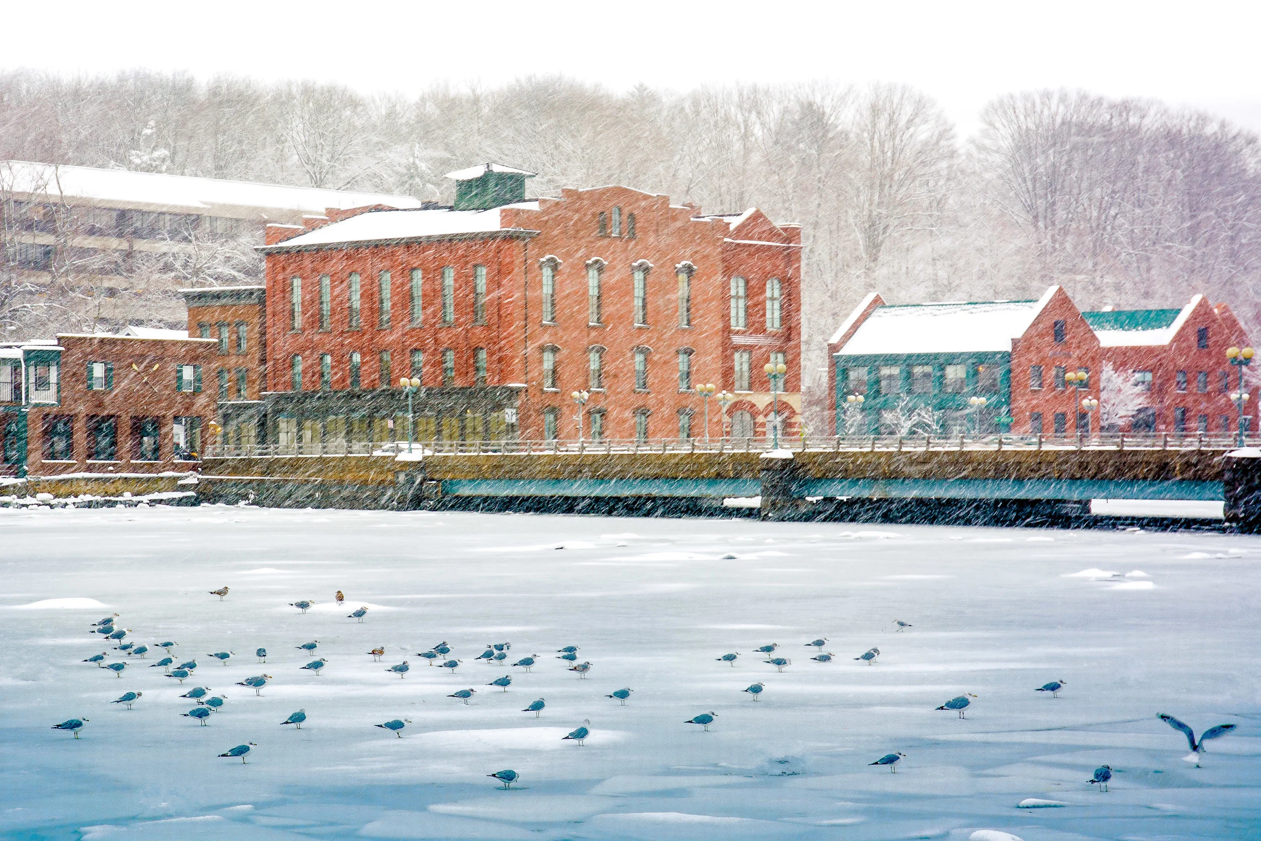 sqr sp saug river snow.jpg
