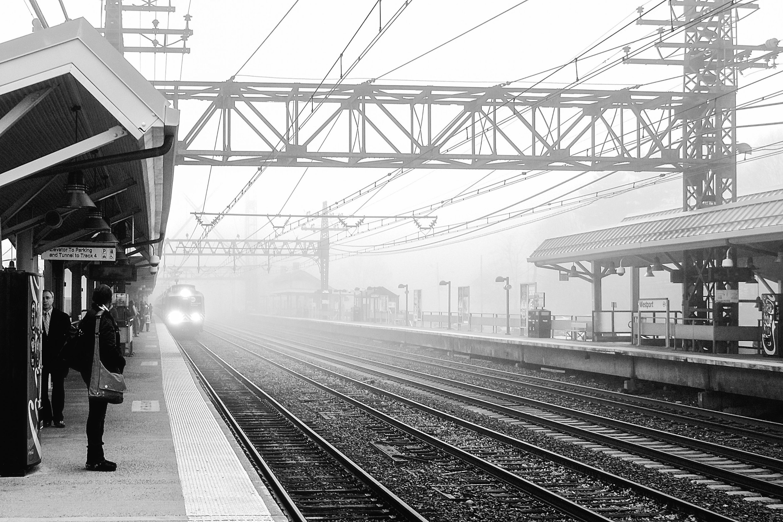 sqr sp fog train.jpg